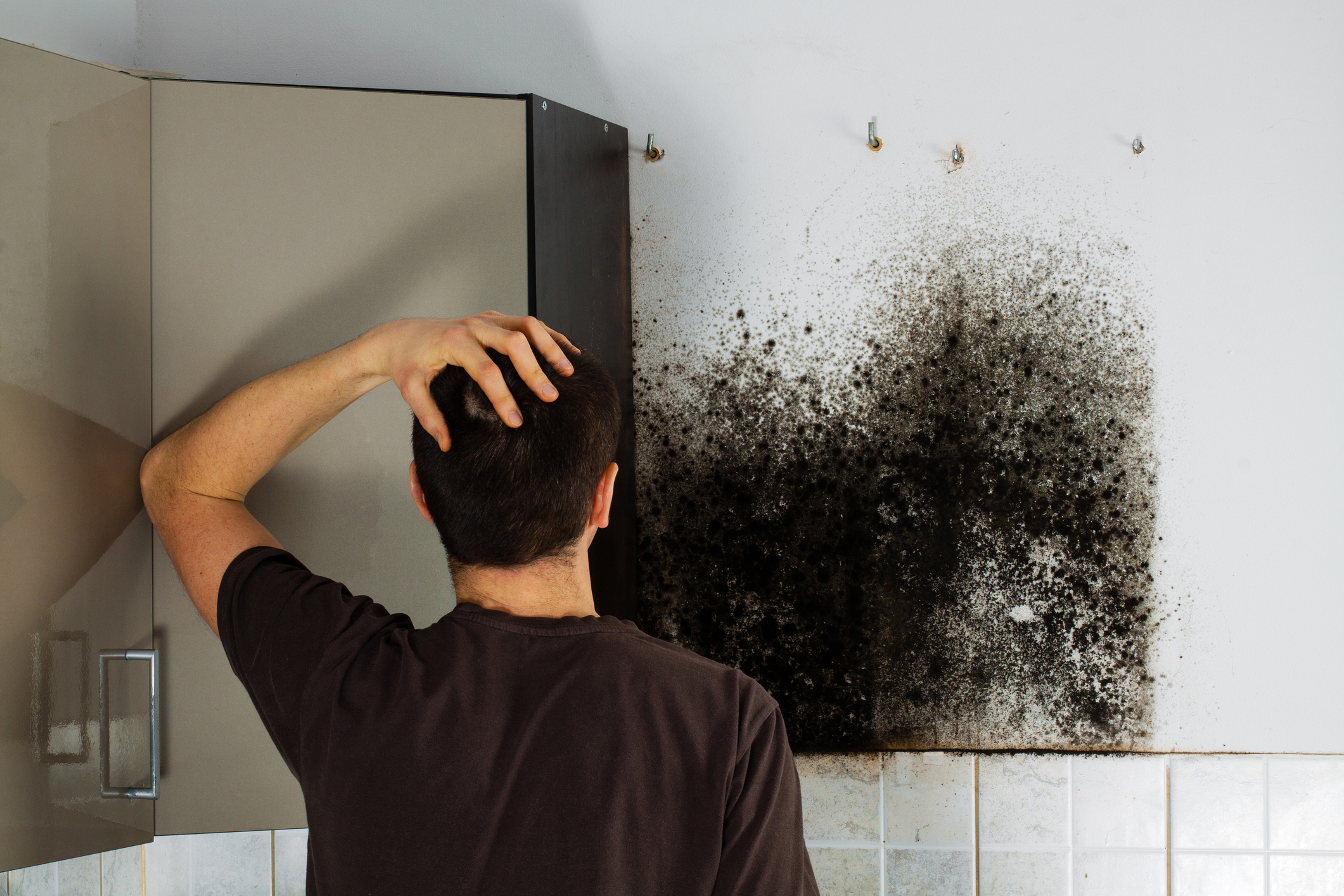 Mold Removal Burnaby